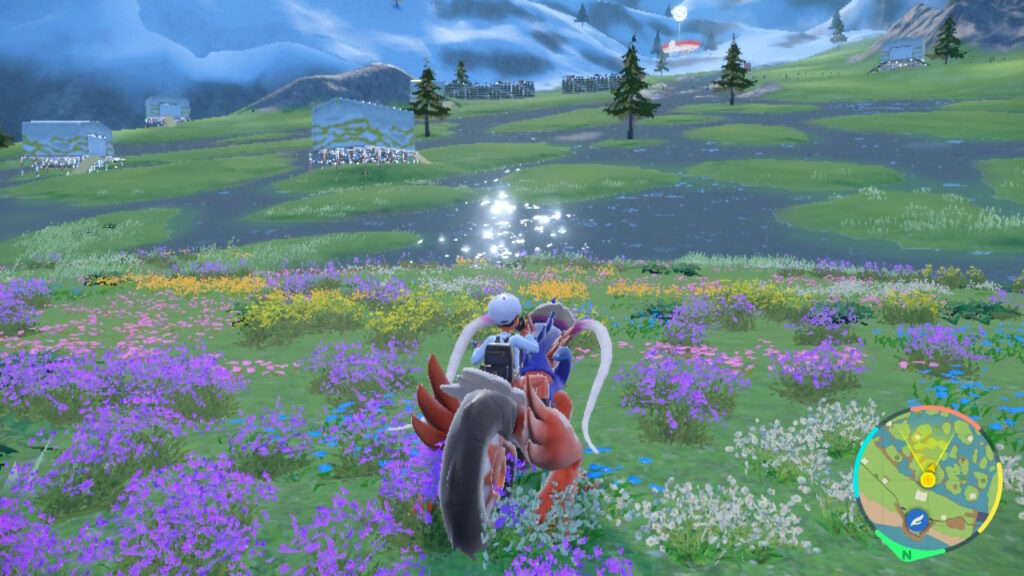 Captura desde un campo de flores.